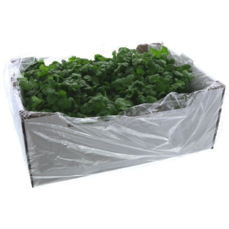 CORIANDRE VRAC 1KG